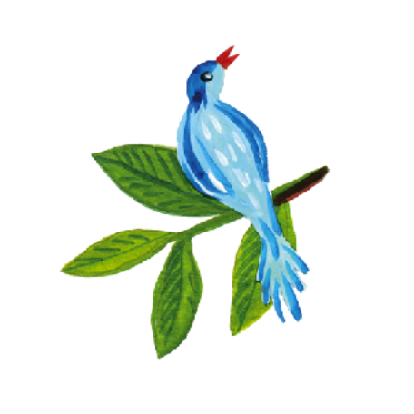 Bird illustration